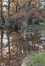 Flooded footbridge